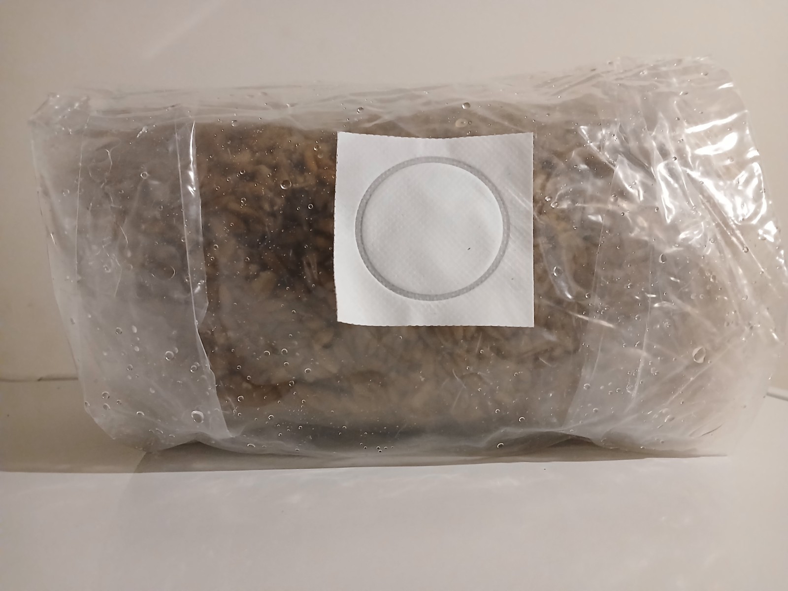 Mushroom Grain Spawn Sterilized Oats 5 lb Bag w/ 0.2 micron filter patch