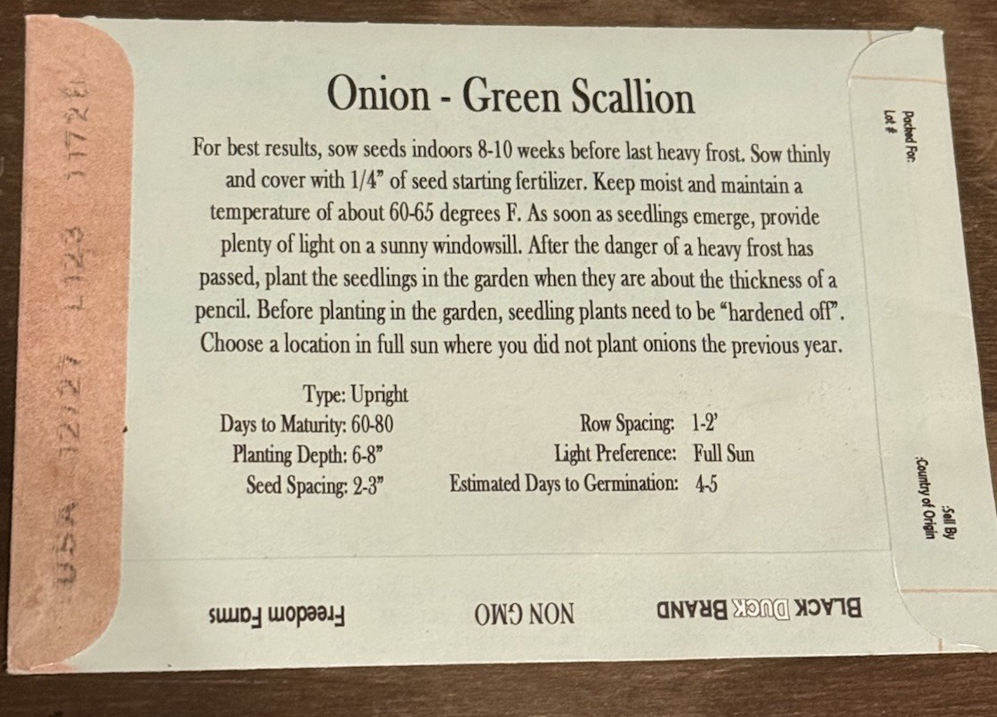 60+ Seeds Onion Green Scallion Seed Pack- Black Duck Brand – Made in USA