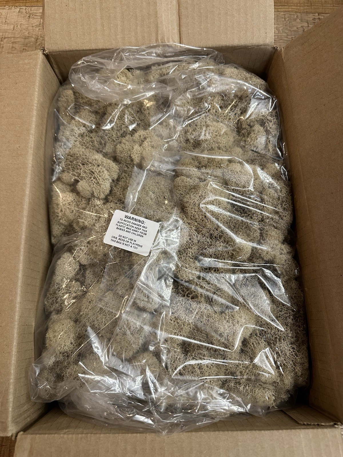 Super Moss 3lb Box Preserved Reindeer Moss #21742