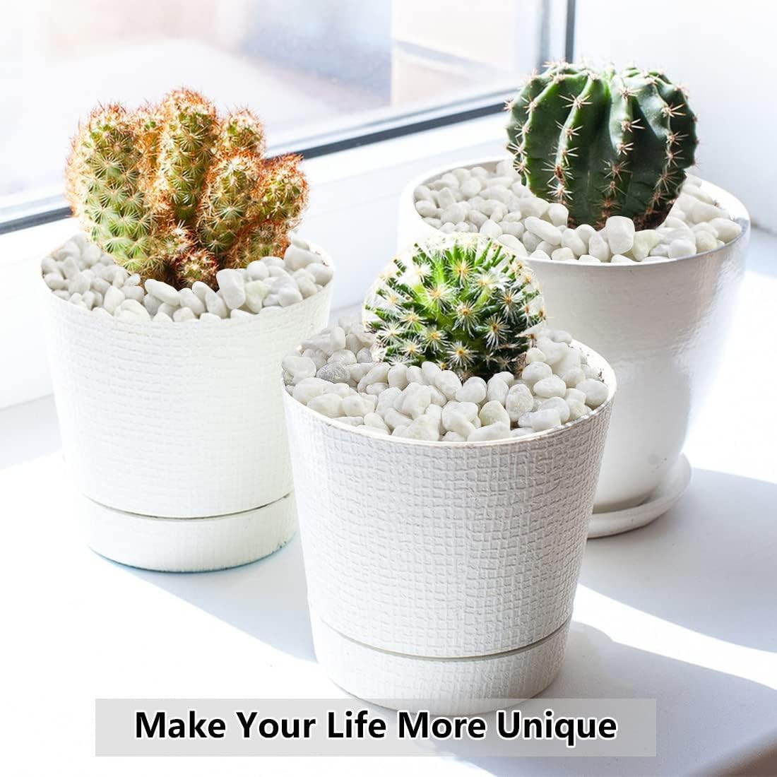 2LB Succulent and Cactus Gravel Pebbles, / Inch White Natural Decorative Polishe