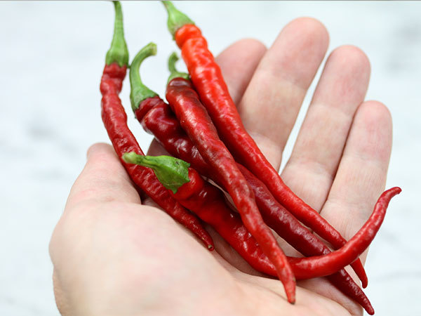 Long Red Cayenne hot pepper seeds non-gmo heirloom open pollinated EASY TO GROW