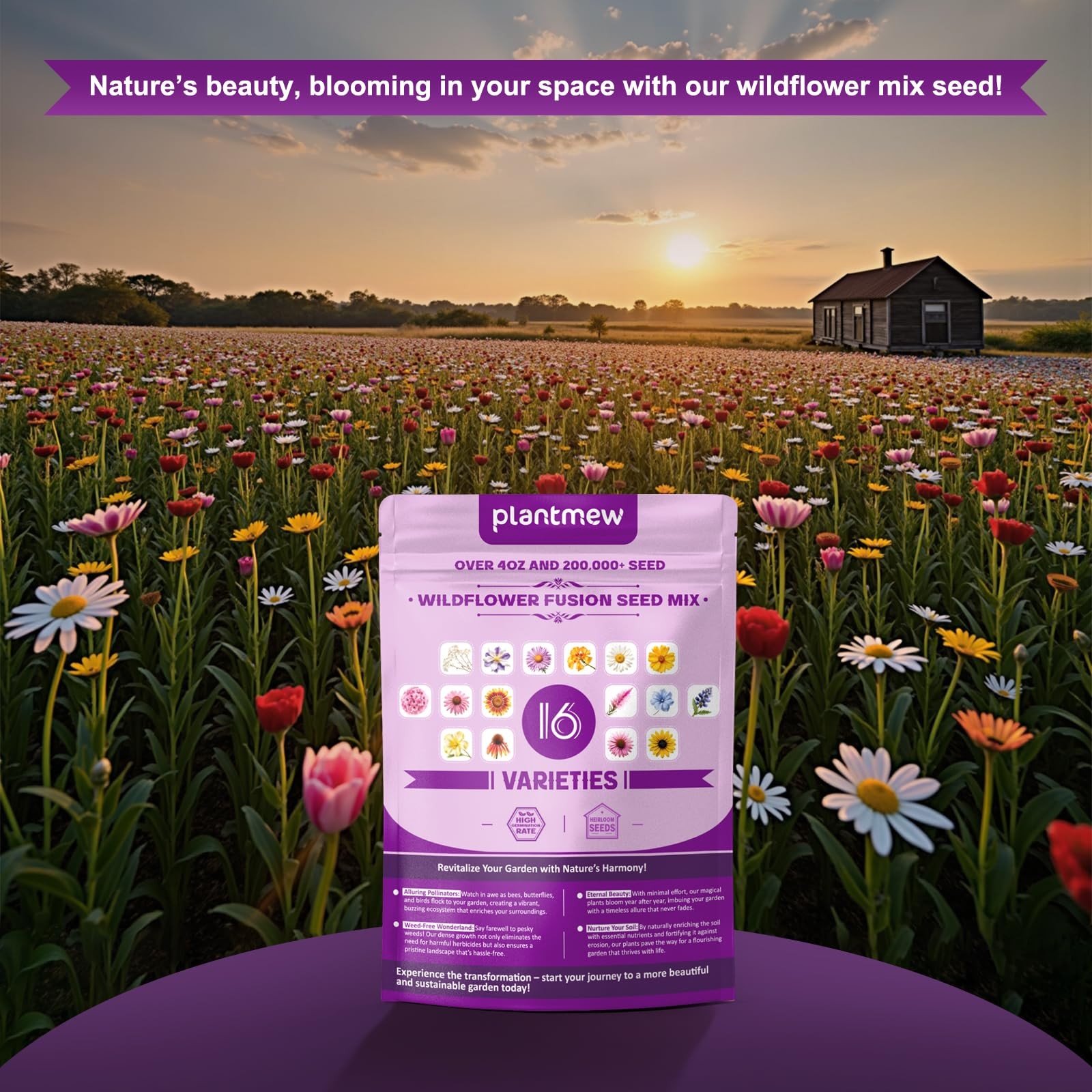200,000+ Wildflower Seeds [4oz] 16 Variety 16 Perennial Mix, green