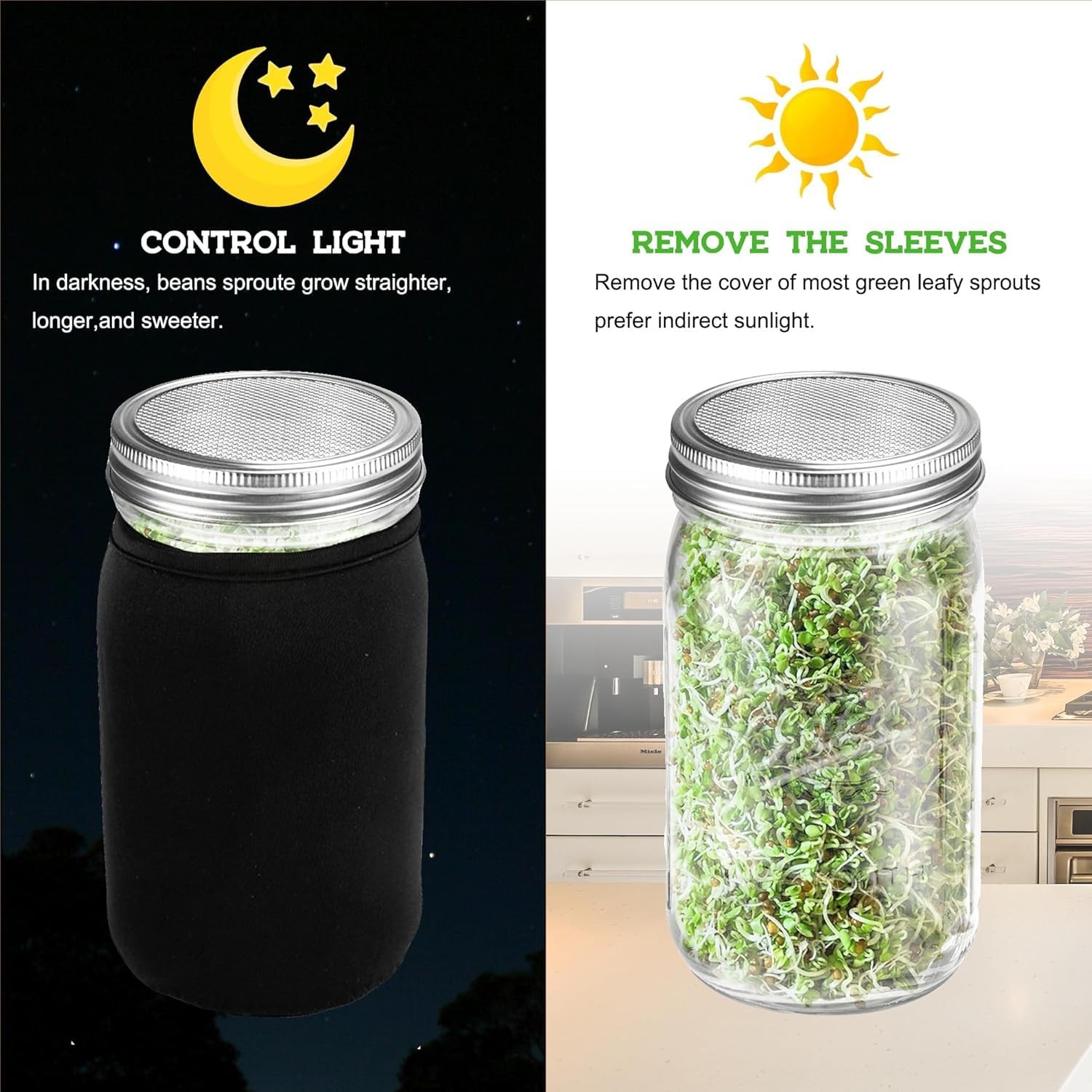 Organic Seed Sprouting Jar Kit – 2 5.7 x 7.67 x 9.44 inches, Stainless Steel