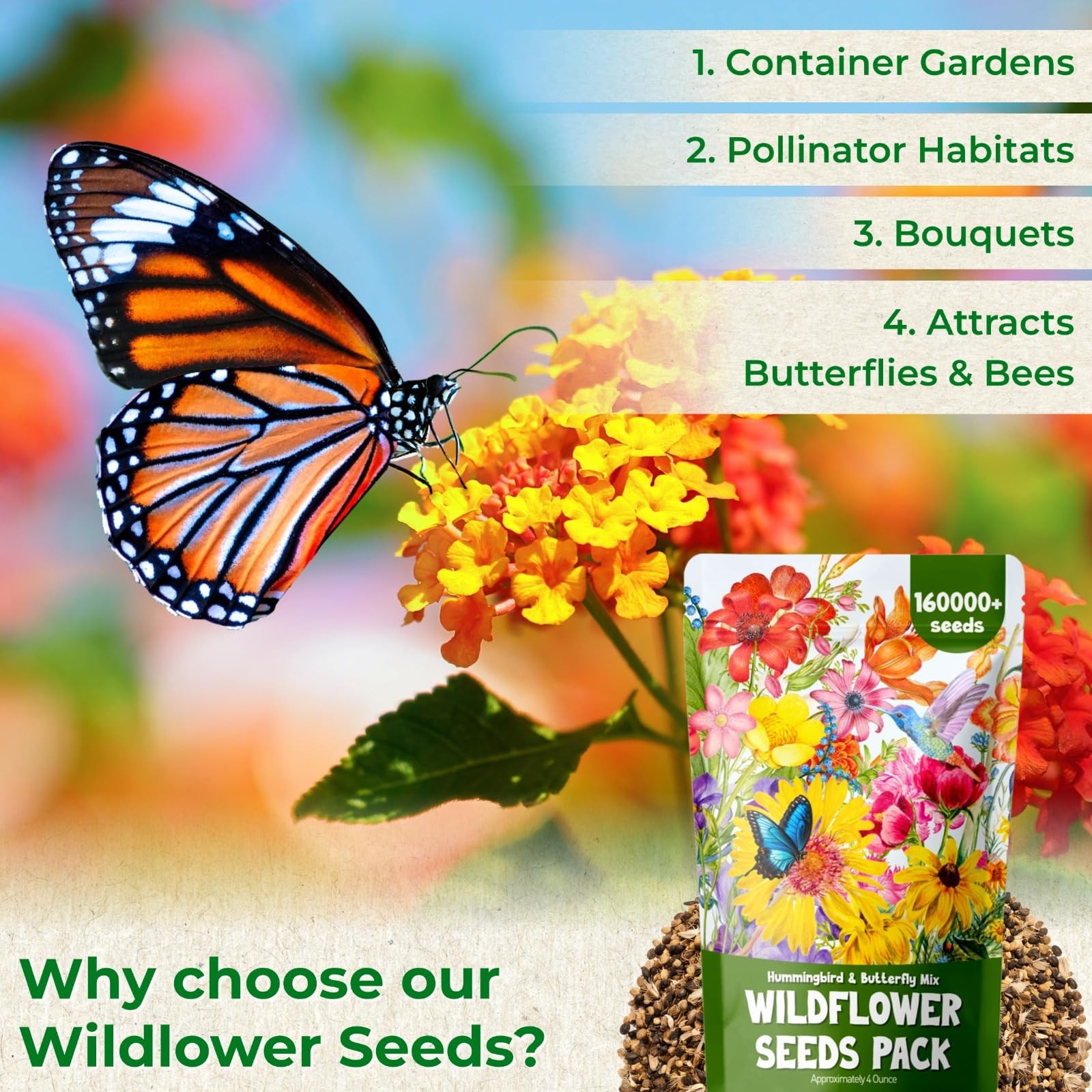 Wildflower Seeds Bulk 4oz 13 Varieties Perennial Annual Garden Attract Pollinato