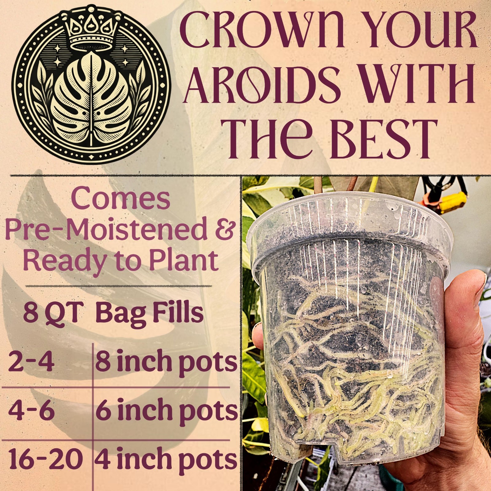 Organic Potting Mix for Indoor Plants – Chunky Well-Draining Soil for Alocasia,