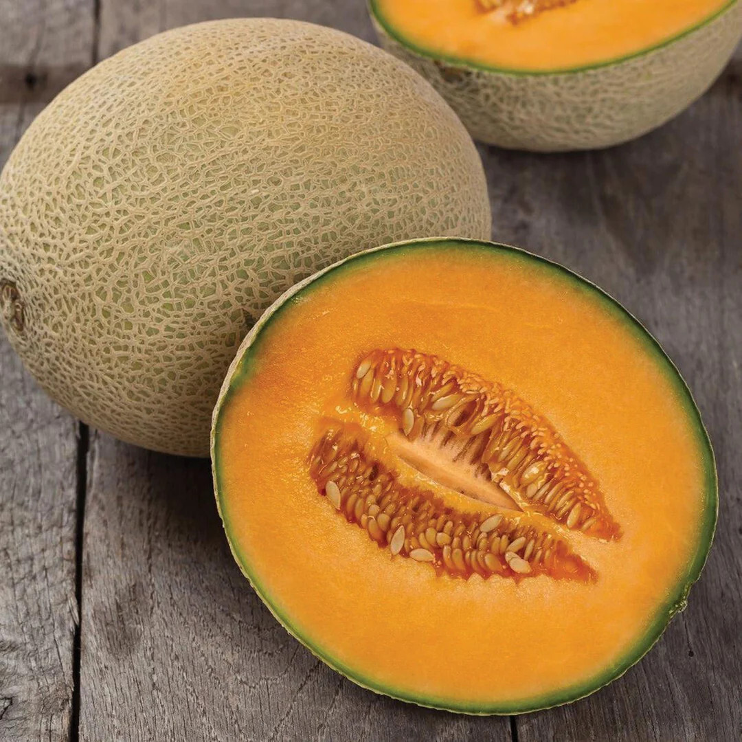50 Heirloom Hales Best PMR Cantaloupe Seeds – Almost Immune To Powdery Mildew!