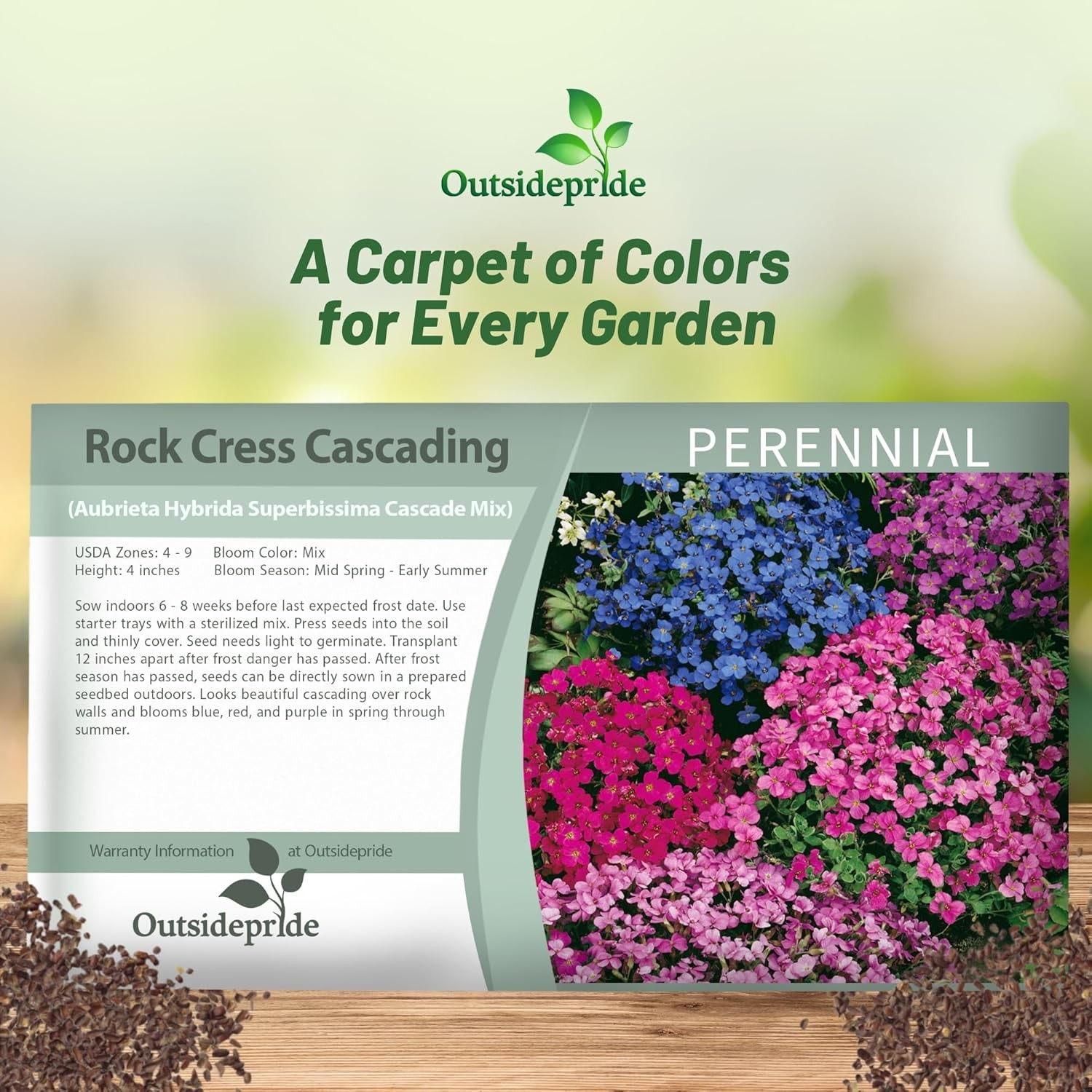 2000 Seeds Aubrieta Seed Mix For Planting – Rock Cress Ground Cover Seeds