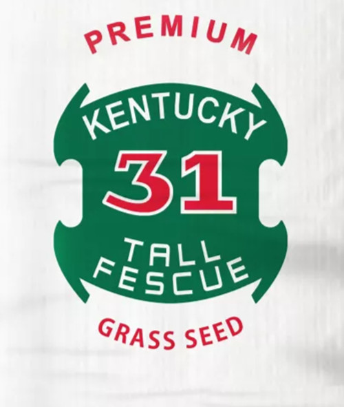 Kentucky 31 Tall Fescue Grass Turf Seed Heat Drought Wear Tolerant Many Sizes