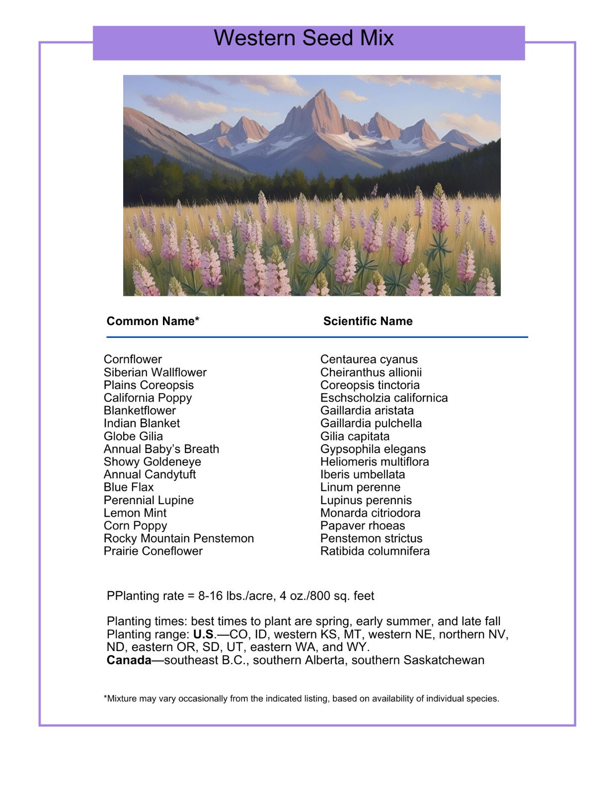 1 Pound Idaho Western Bulk Wildflower Seed Mix 1lb Covers 3,200sq-ft