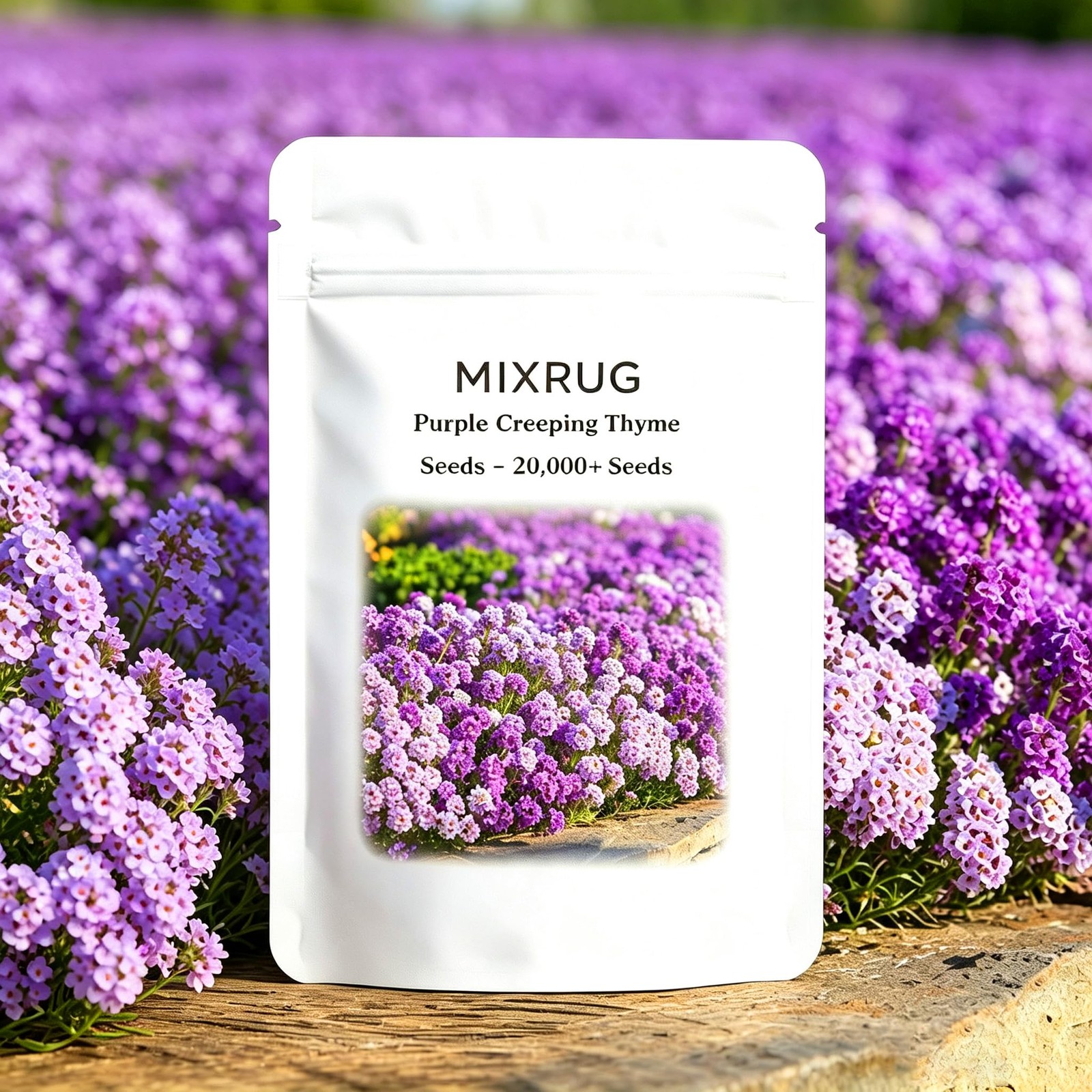 20007+pcs Purple Creeping Thyme Ground Cover Flower Seeds for Planting, Peren…