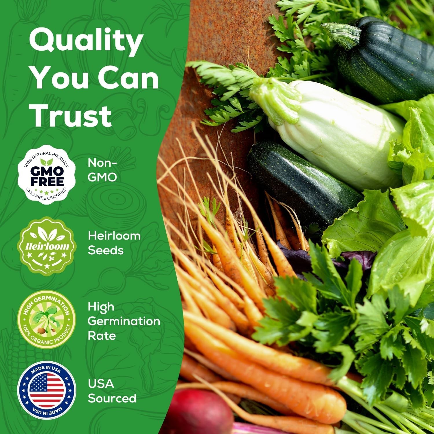 【Seed Vault】 Heirloom Vegetable Seeds Planting Kit – 25,000+ Non-Gmo Seeds for