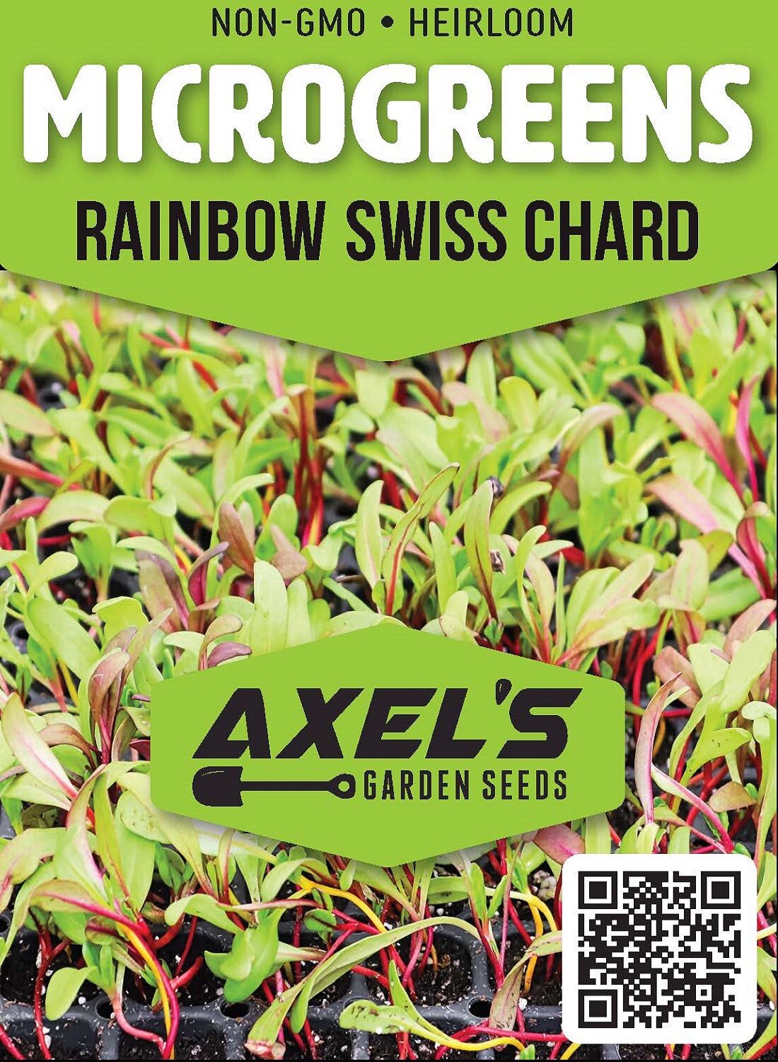 Rainbow Swiss Chard MICROGREEN Seeds | Non-GMO | Heirloom | Seeds for Sprouting