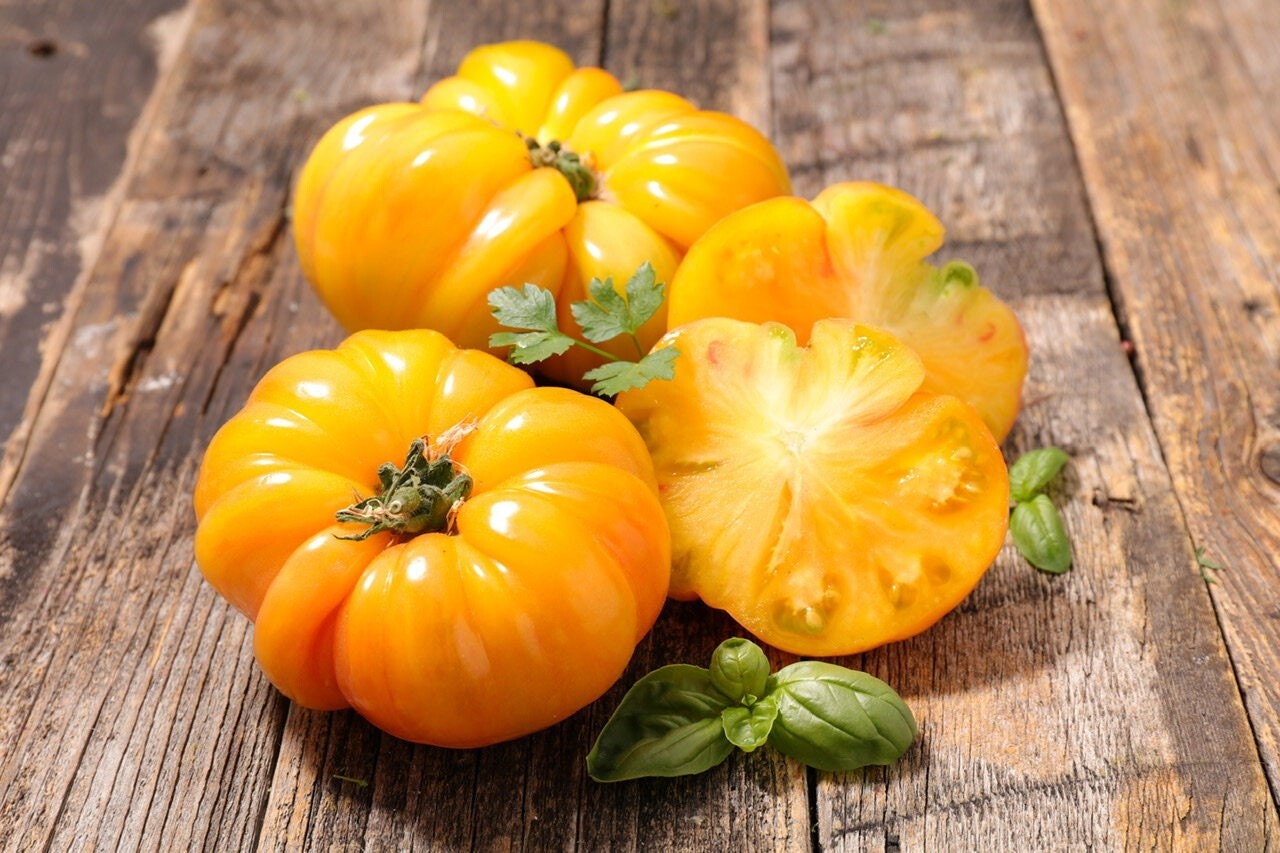 45 ORGANIC Non-GMO Brandywine Yellow Tomato Seeds- Seeds Of Tomorrow