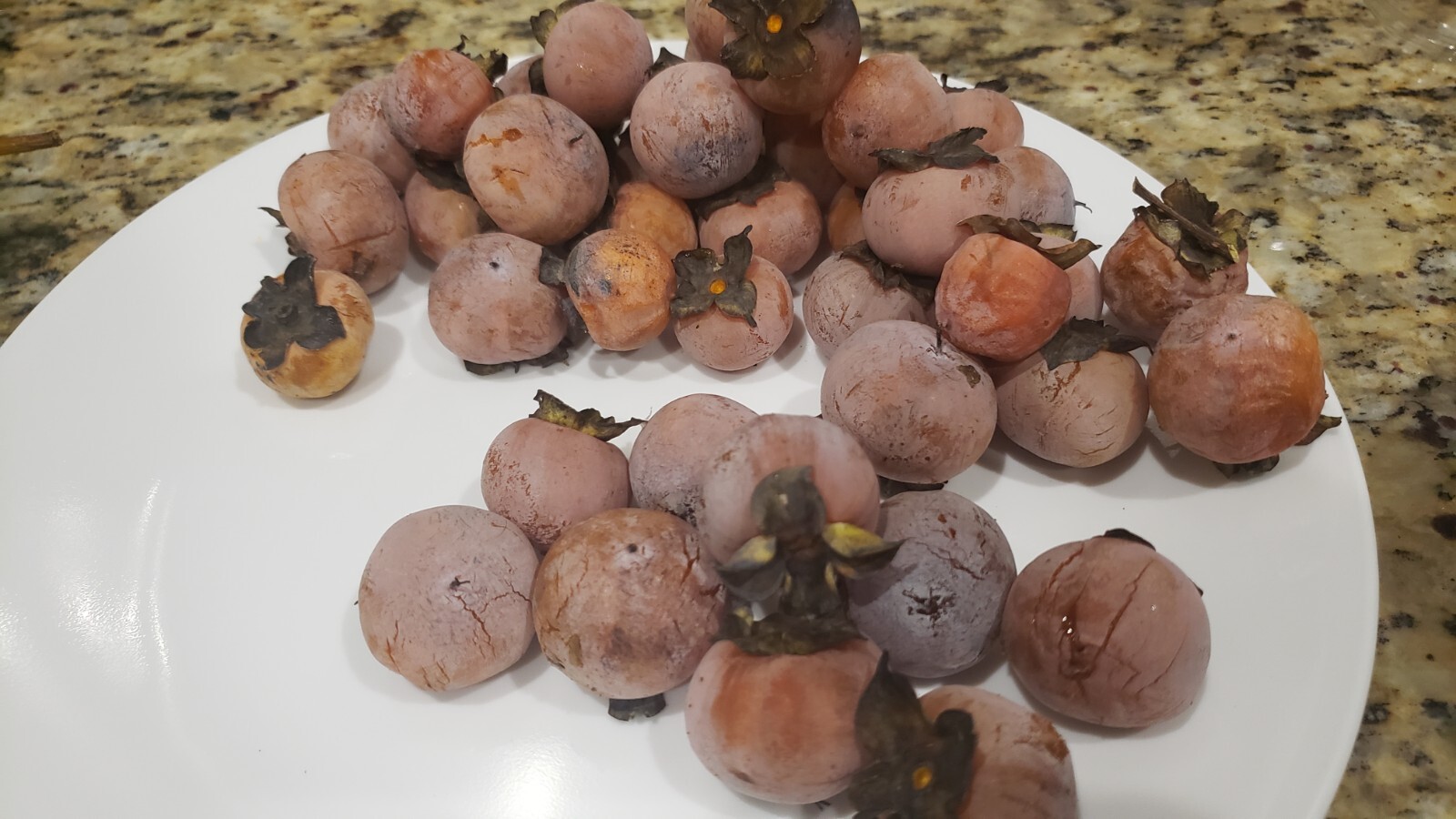 Edible 110 Wild American Persimmons (Diospyros Virginiana) Seeds