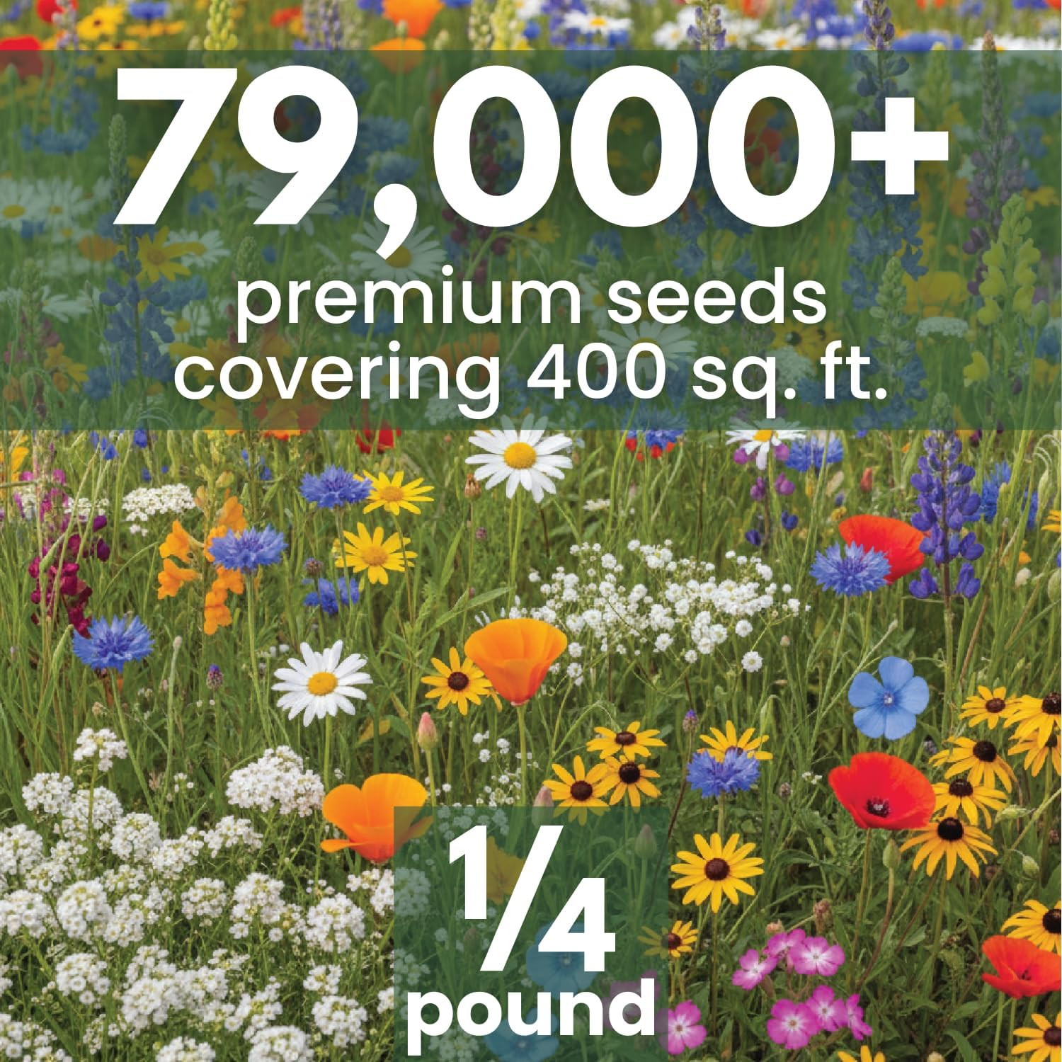 California Regional Mix – 79,000 Seeds for Planting – 2026 Season – 4 Ounce Pouc