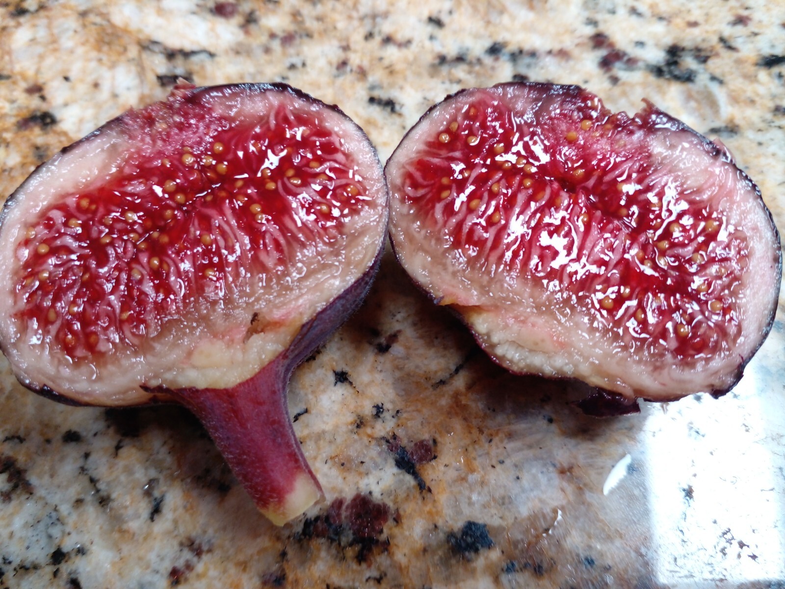 Cherry Cordial Fig Tree – 50 Seeds – Tasty Berry Figs – Easy To Grow From Seed