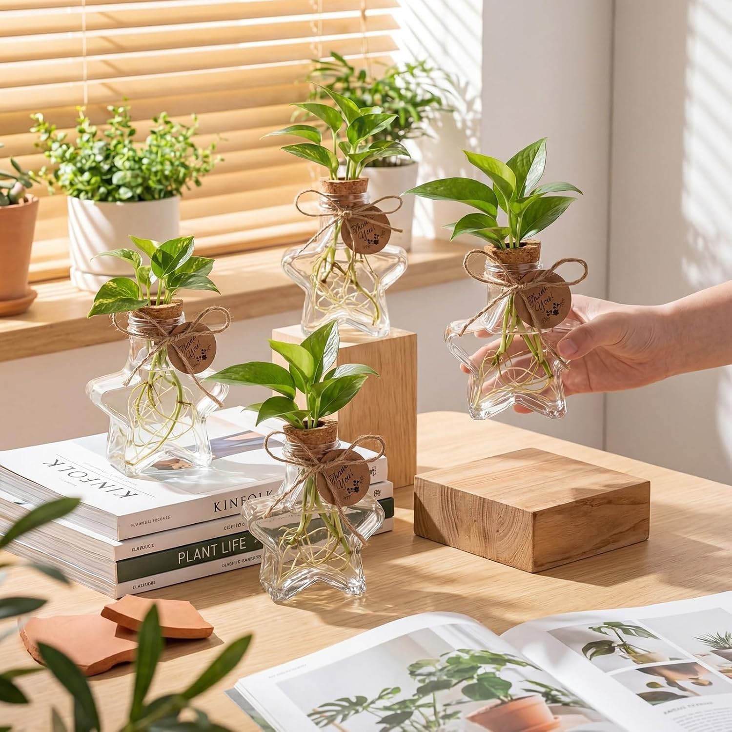Heartwarming 24 Pack Plastic Propagation Vases – Ideal Gifts for Plant Lovers