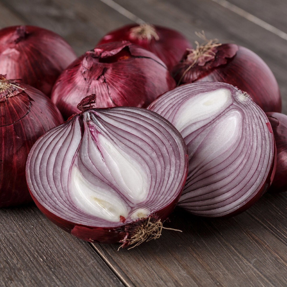 1/4 Lb Red Burgundy Onion Seeds – Everwilde Farms Mylar Seed Packet