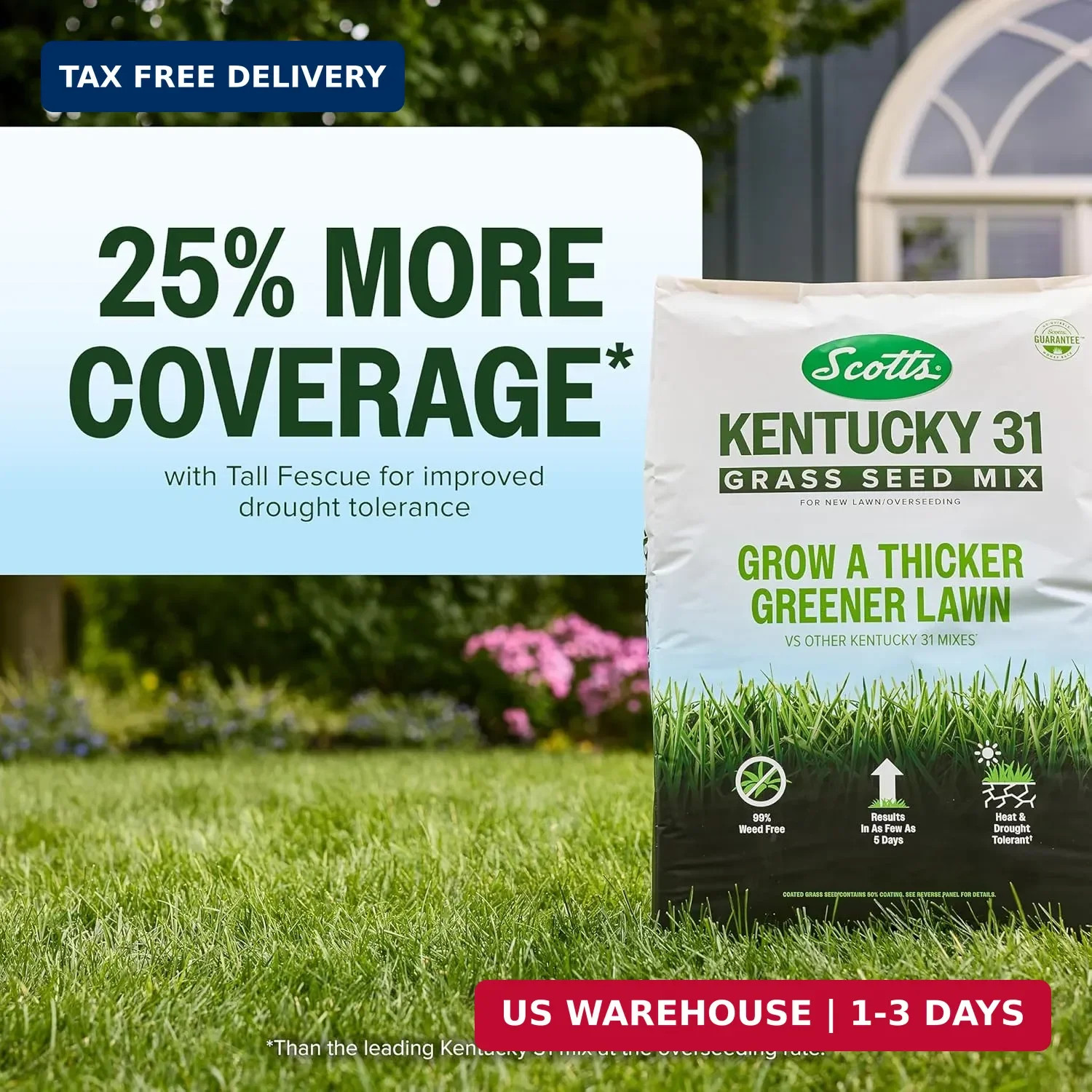 Scotts Kentucky 31 Grass Seed Mix for New Lawns or Overseeding, Grows Thicker an