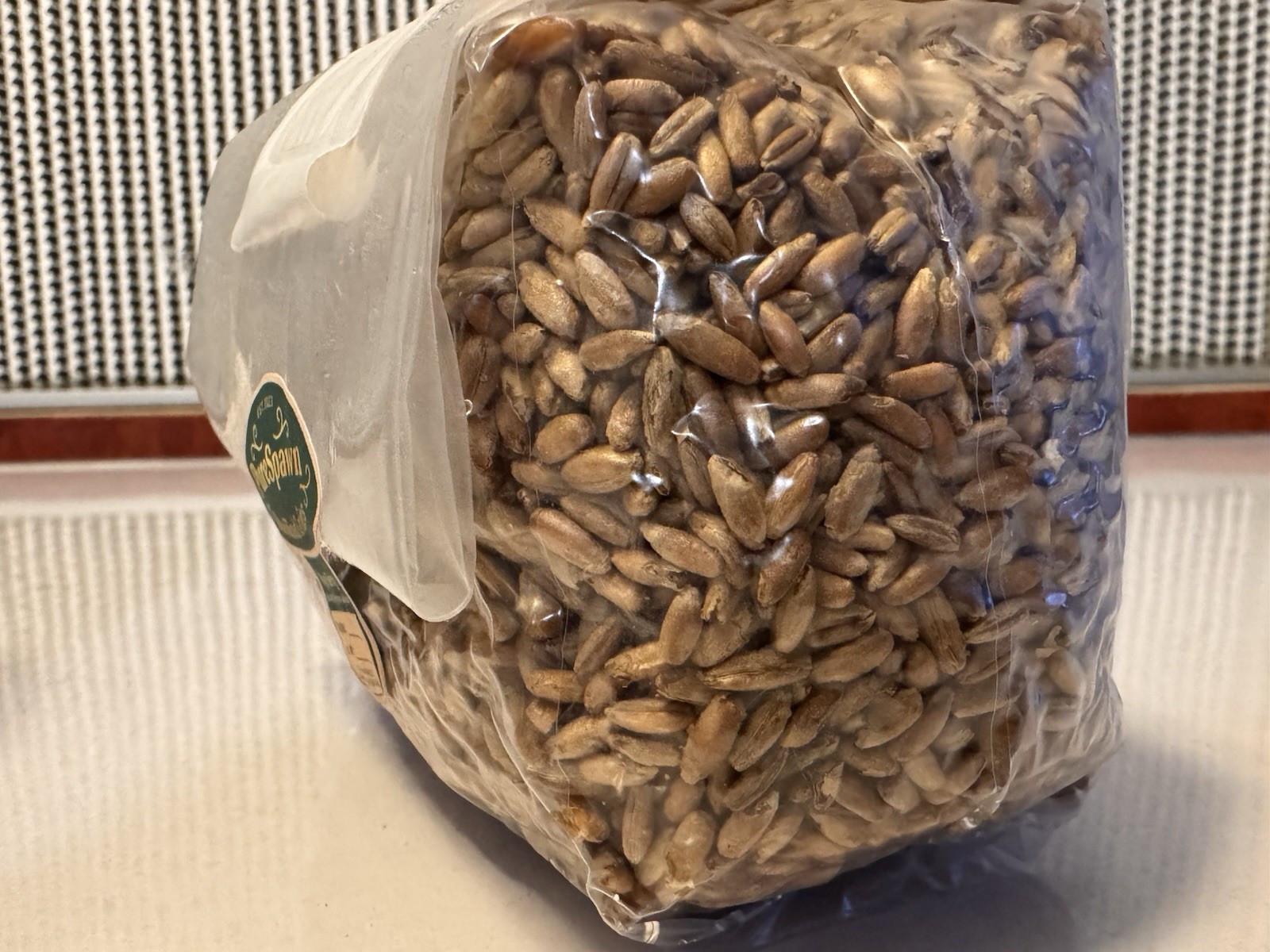 Sterilized RYE BERRY Grain Bag for Dung-Loving Mushroom Cultivation