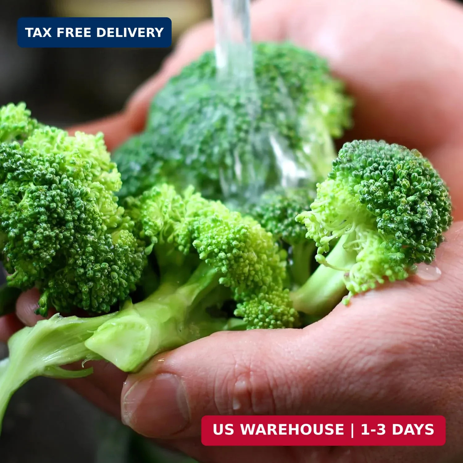 Purely Organic Broccoli Seeds (Waltham 29) – Approx 750 Seeds – USDA Organic, No