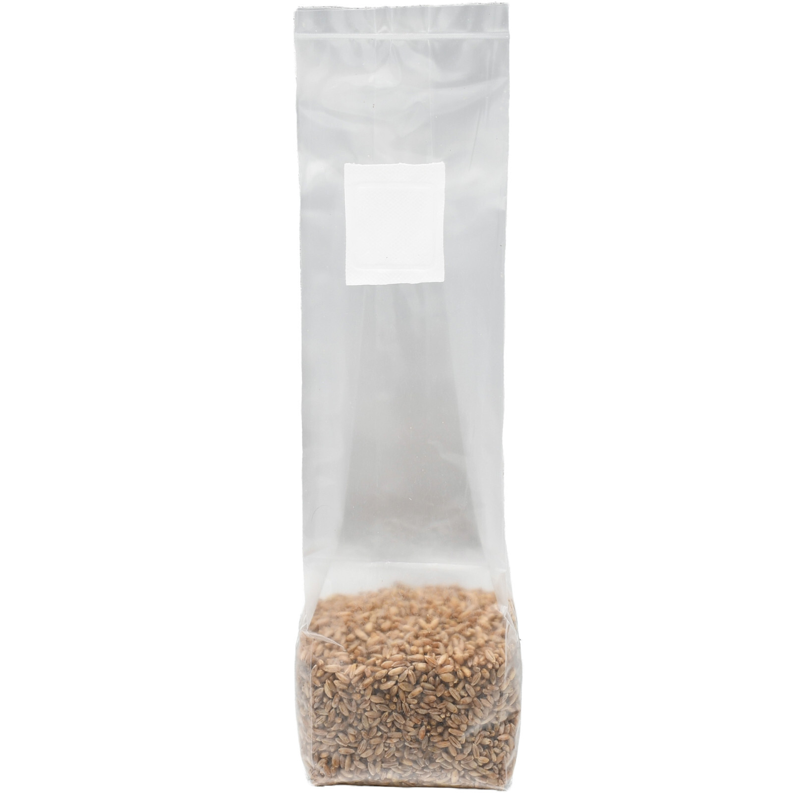 Sterilized Rye Berry Mushroom Substrate (6 pack)