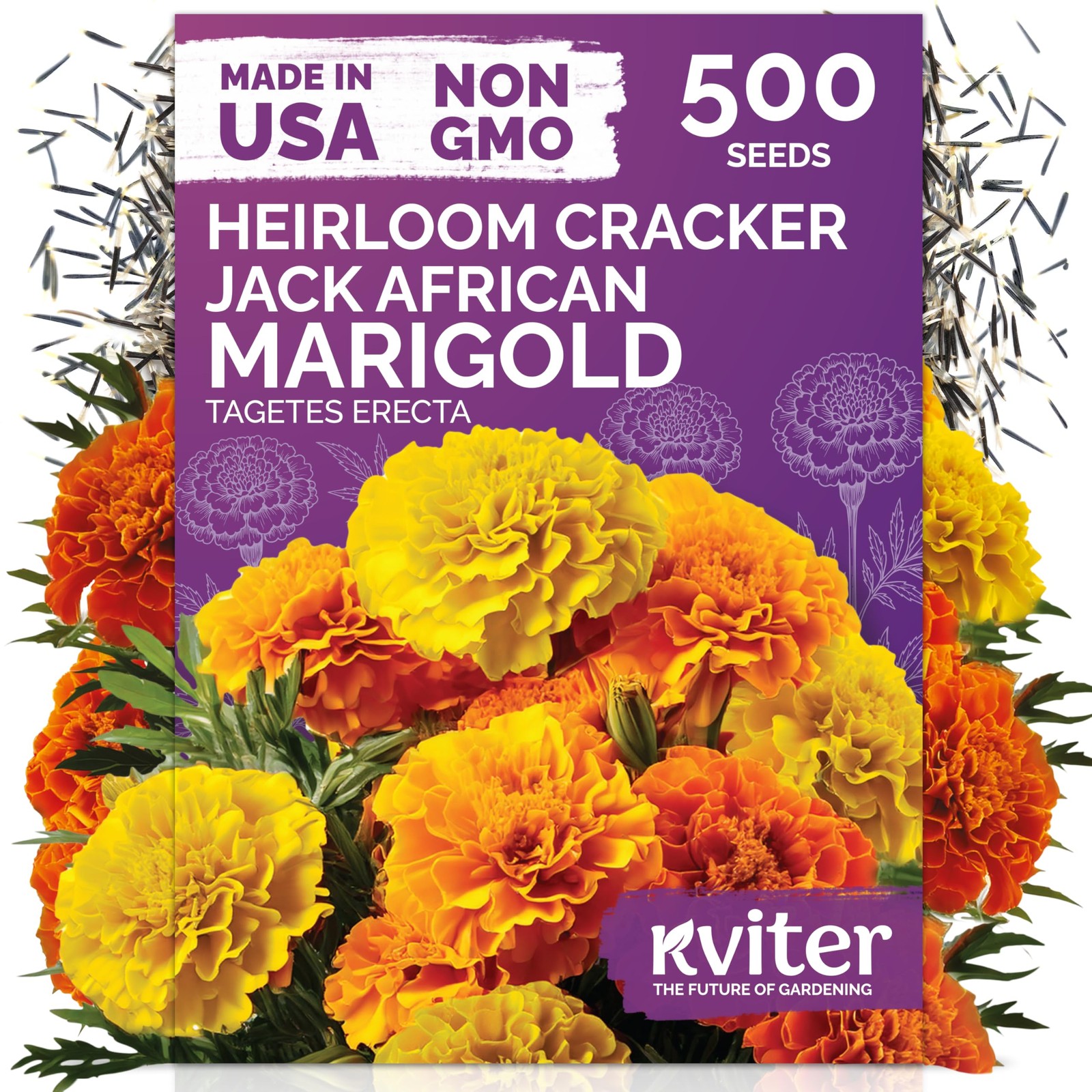 KVITER 500 Cracker Jack Marigold Seeds (Tagetes Erecta)