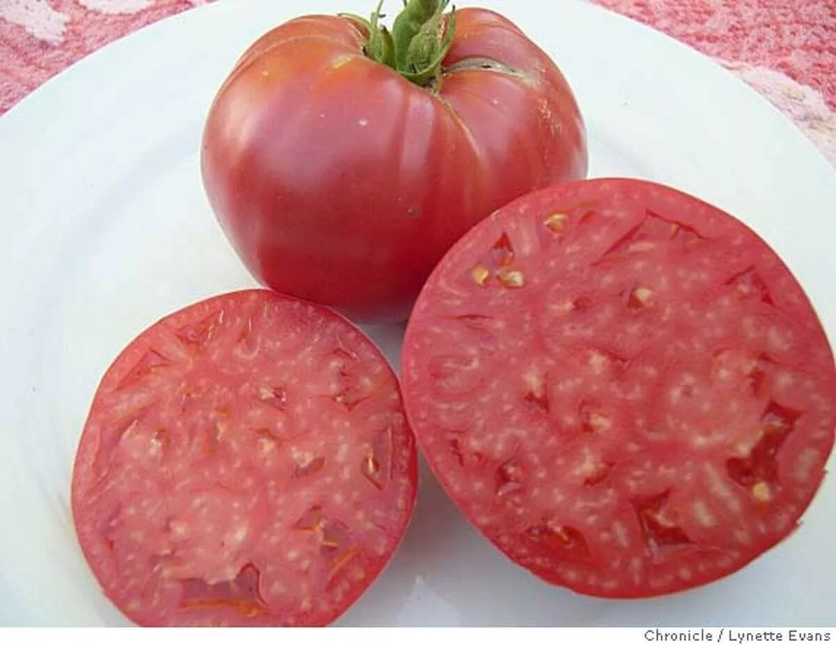 120+ German Giant Tomato Seeds – Non-GMO – Heirloom – Organic — HUGE —FRESH