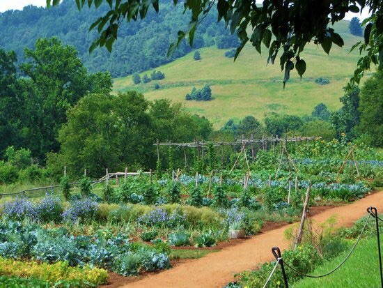 Victory Garden Prepper Vegetable Seeds 21 Variety Survival Heirloom Seeds Set