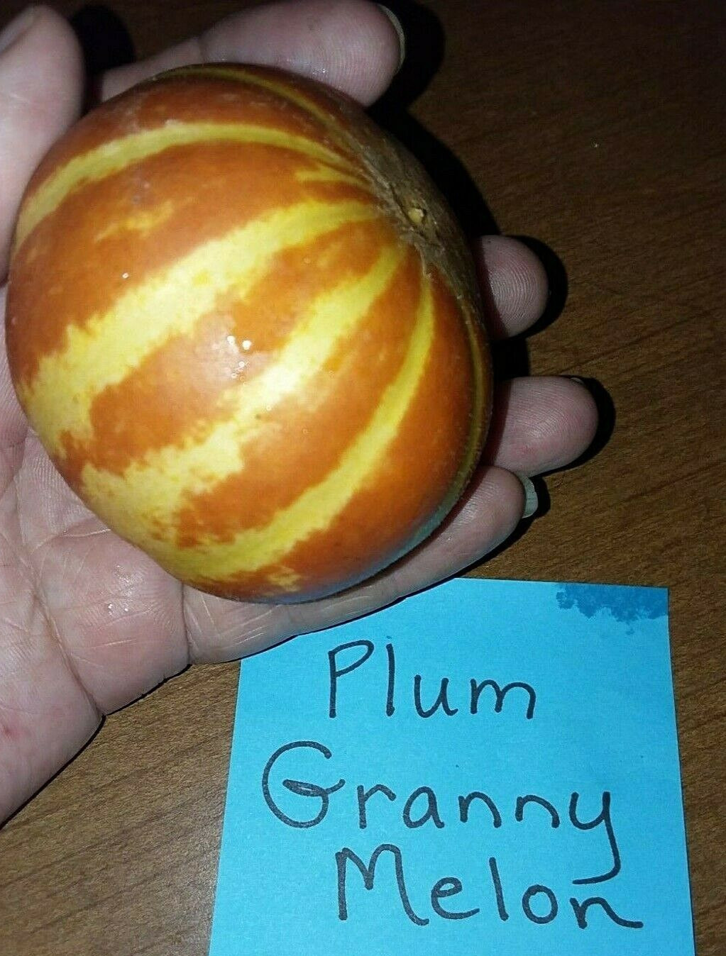 Plum Granny Melon Seeds – Mini Melon’s – 15 Seeds – Loads of fruit – Comb. S/H