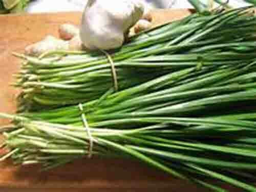 SCARBOROUGH SEEDS Garlic Chives 300 Seeds Non GMO Perennial