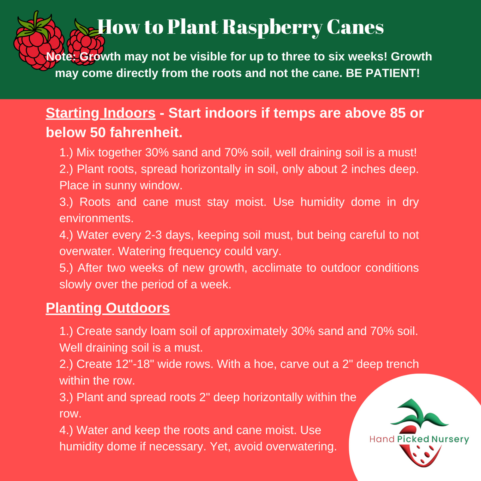 Joan J Raspberry – 2 Red Raspberry Plants – Everbearing – Organic Grown –