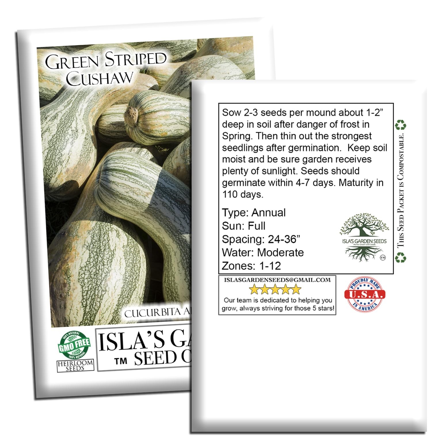 Green Striped Cushaw Pumpkin Seeds Cucurbita argyrosperma – 25 Heirloom NonGM…
