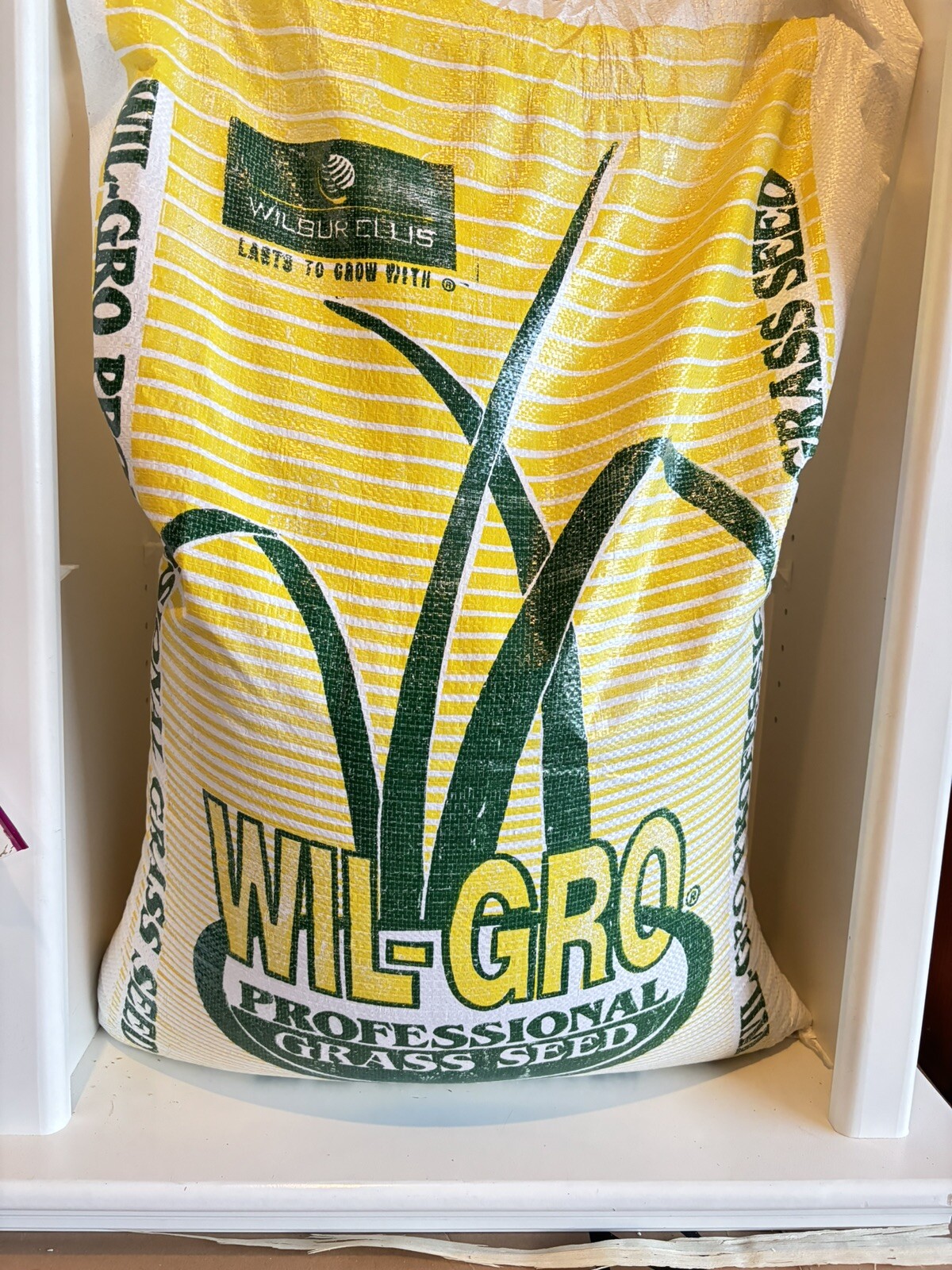 4 Lbs Overseeding Grass Seeds. Kentucky Bluegrass And Perennial Ryegrass 50/50
