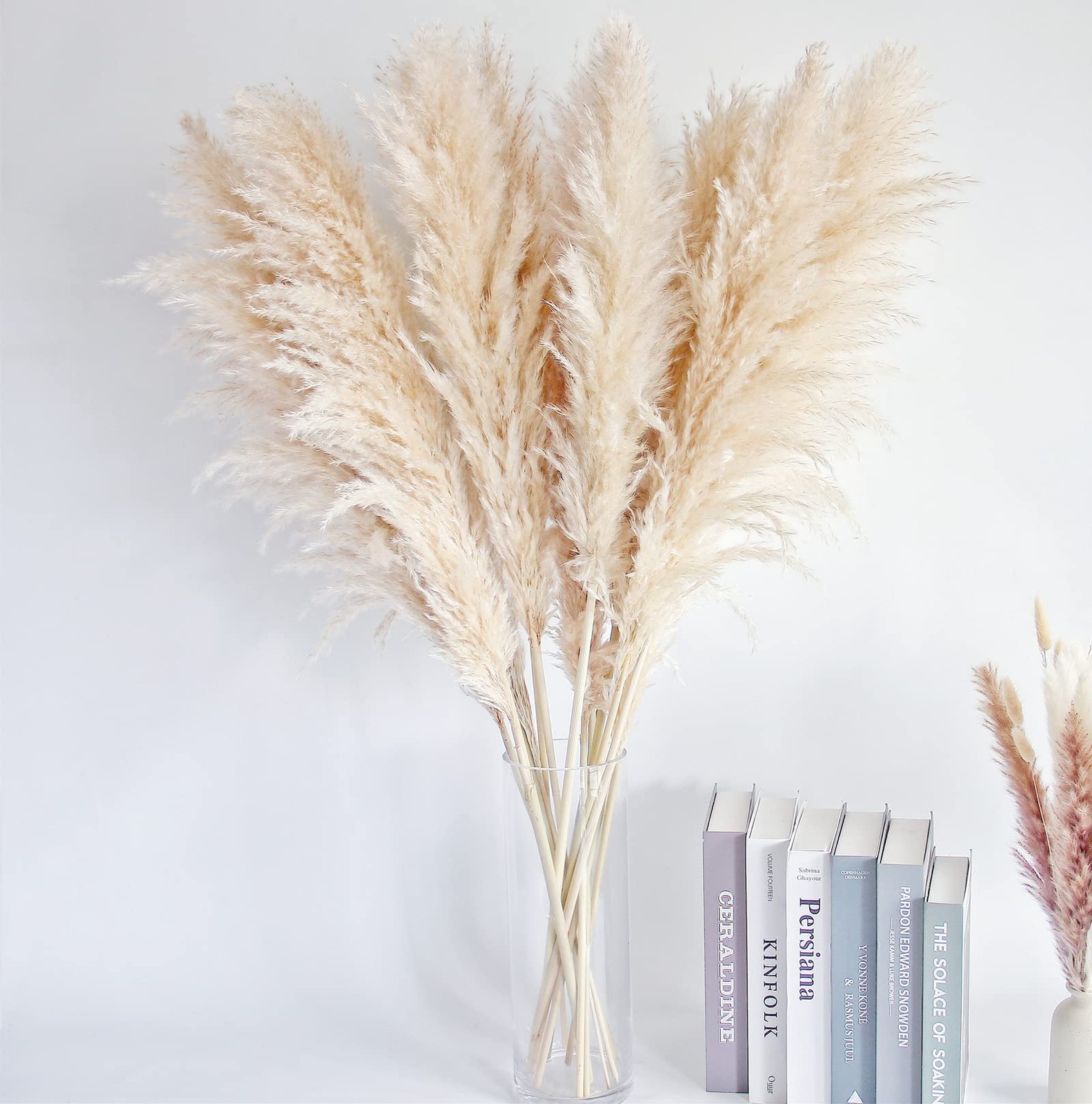 46″ inch 10 Stems Natural Pampas Grass Decor Tall, Pompas Grass, Tall Beige