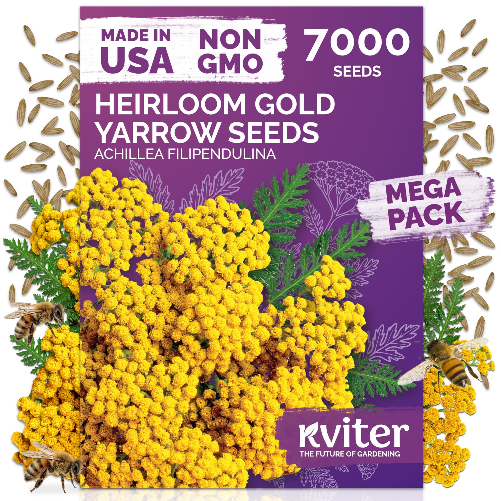 KVITER 7000 Gold Yarrow Seeds (Achillea Filipendulina)