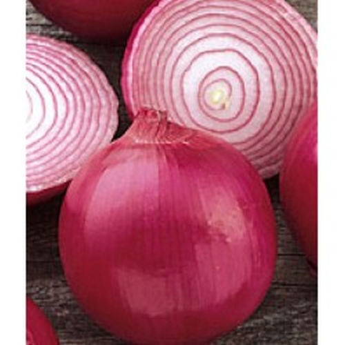onion, RED GRANO, early sweet variety, 310 seeds! GroCo
