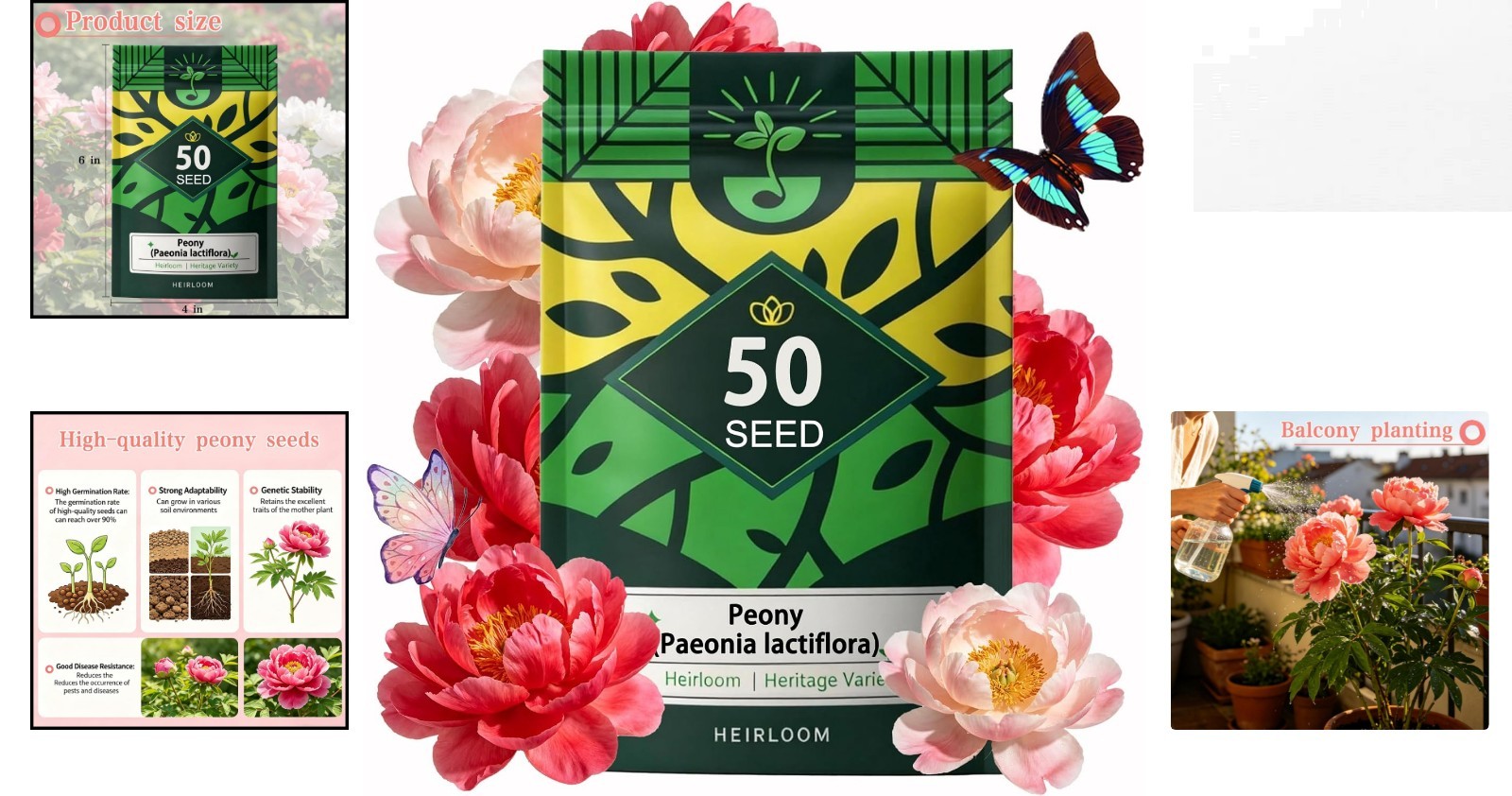 Pack of 50 Heirloom Peony Seeds – Breathtaking Fragrant Blooms for Your Garden