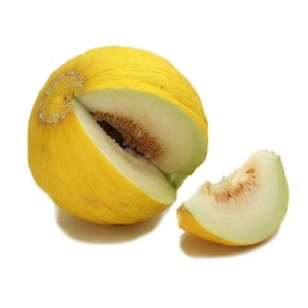 50 Golden Beauty CASABA MELON Cucumis Melo Fruit Seeds