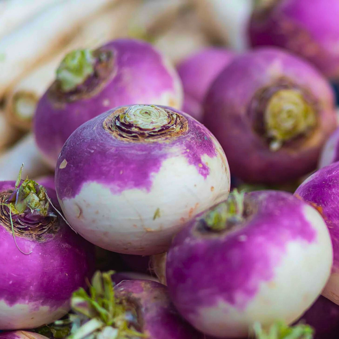 Fresh Purple Top Turnip Seeds | Heirloom Non-GMO | Fresh Vegetable Seeds