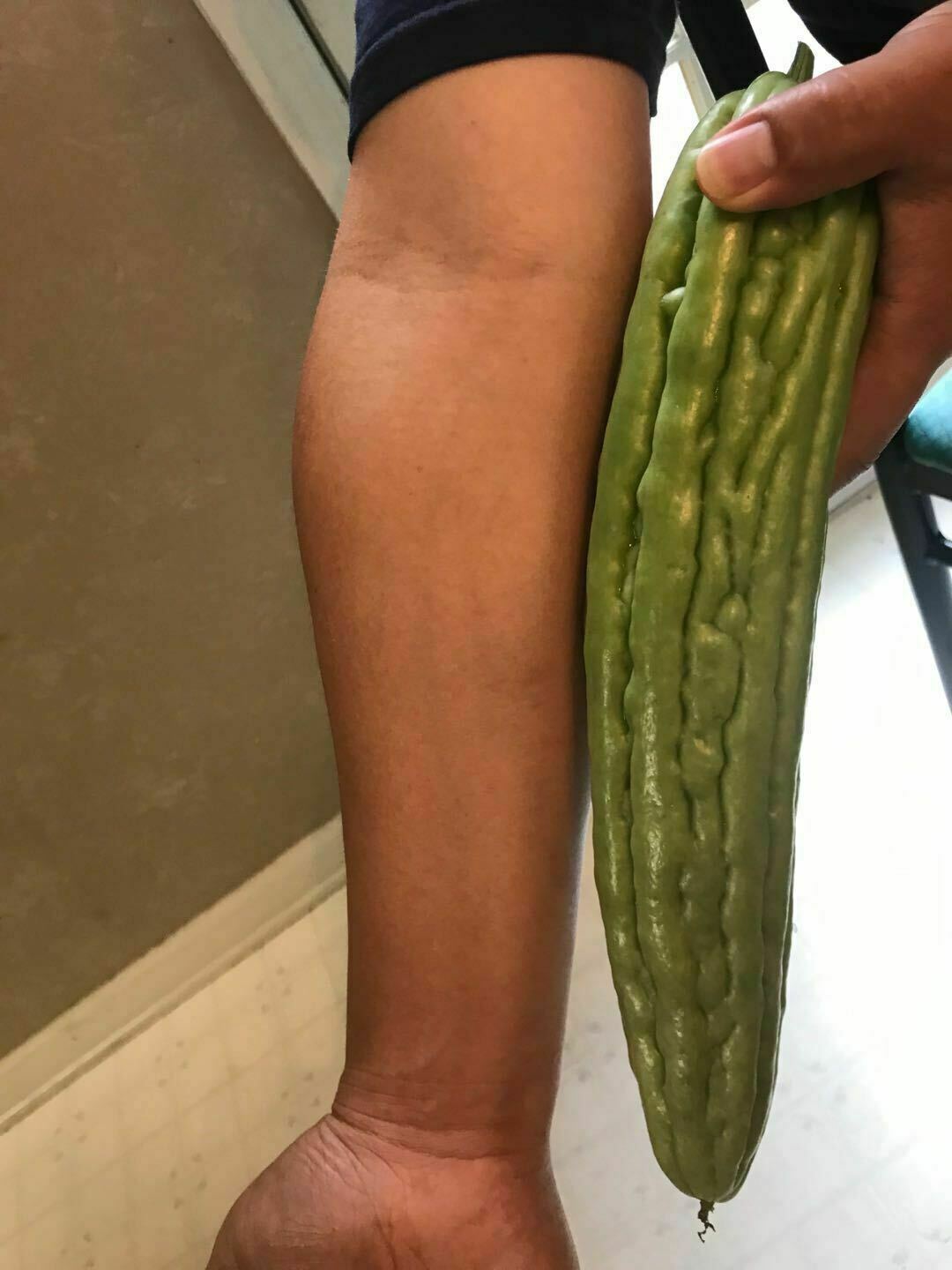 20 pc Organic Bittermelon Green Jade Seeds Harvest from my garden US Seller