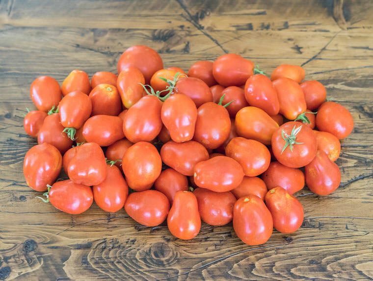 101+ROMA TOMATO Seeds Paste Sauce Canning Salads Garden Container Organic Easy