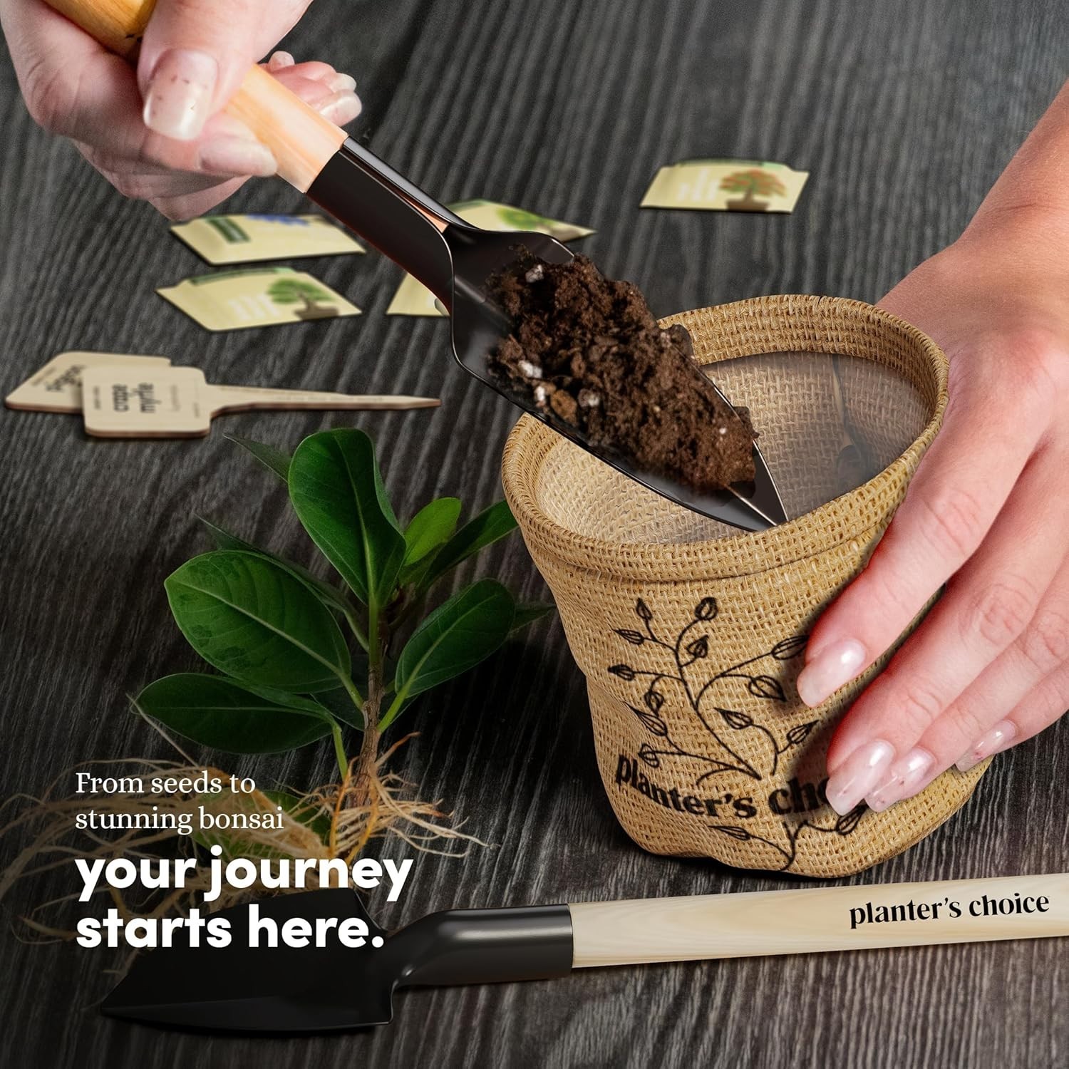 Planter’s Choice Bonsai Starter Kit – 5 Unique Seed Varieties for All Ages