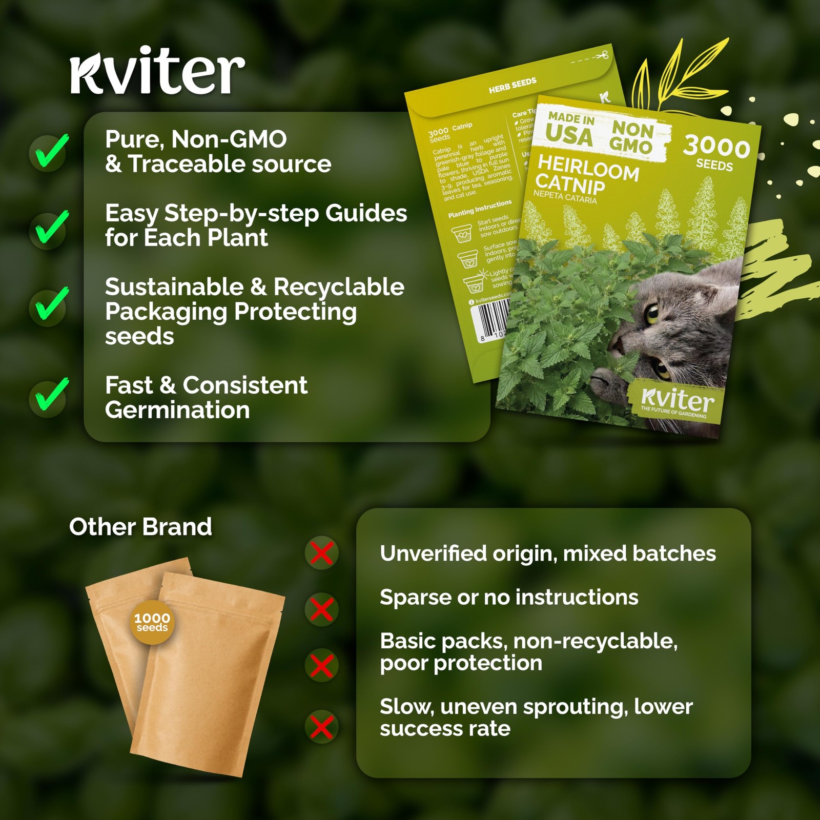 KVITER 3000 Catnip Seeds (Nepeta Cataria)