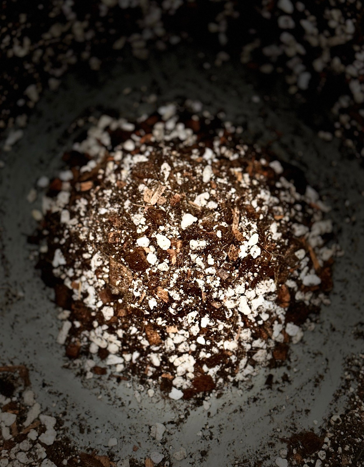 Chunky Aroid Mix, Handcrafted Houseplant Potting Soil Mix w Organic Mycorrhizal