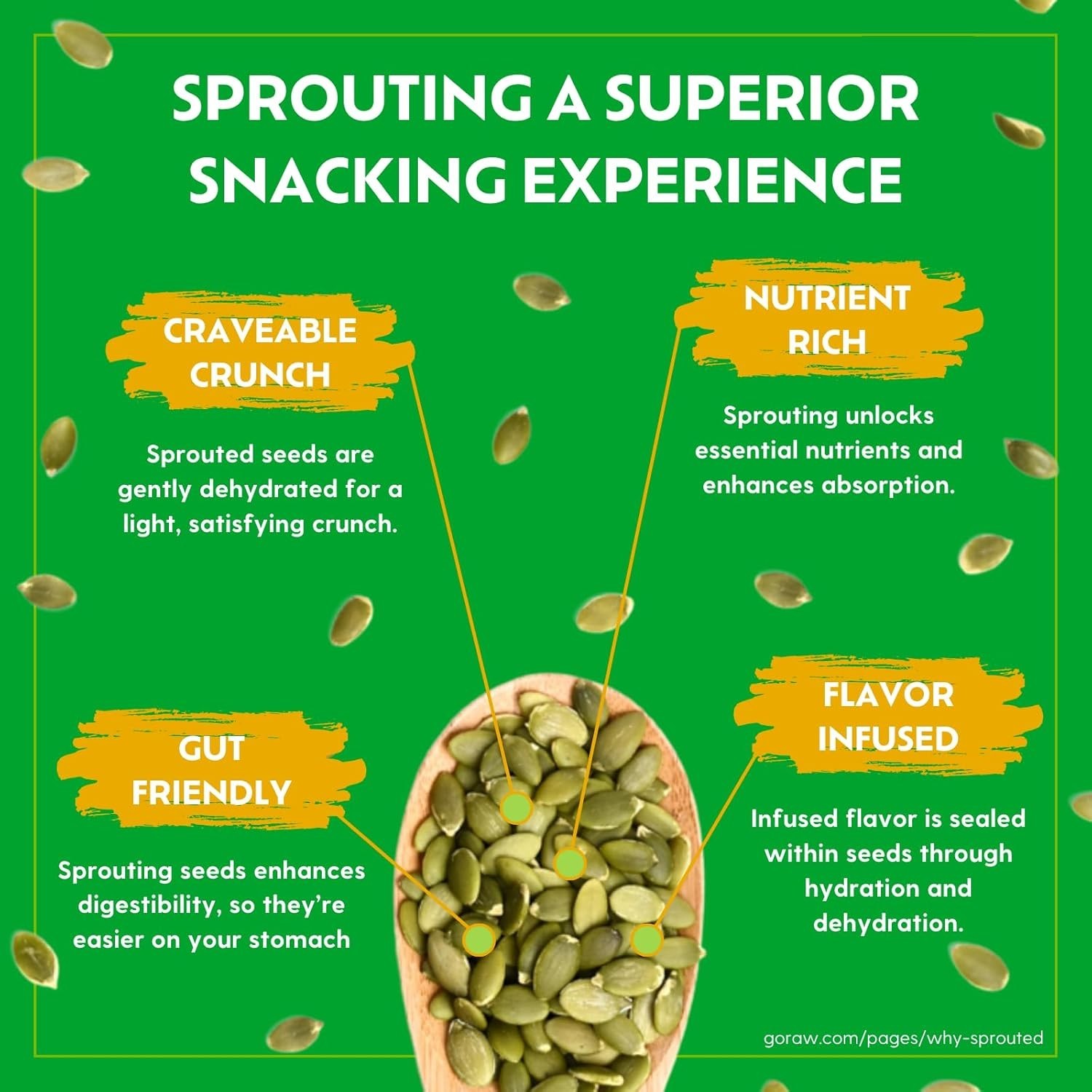 9 oz Resealable Organic Pumpkin Seeds – Nut-Free, Gluten-Free Snack for All Ages