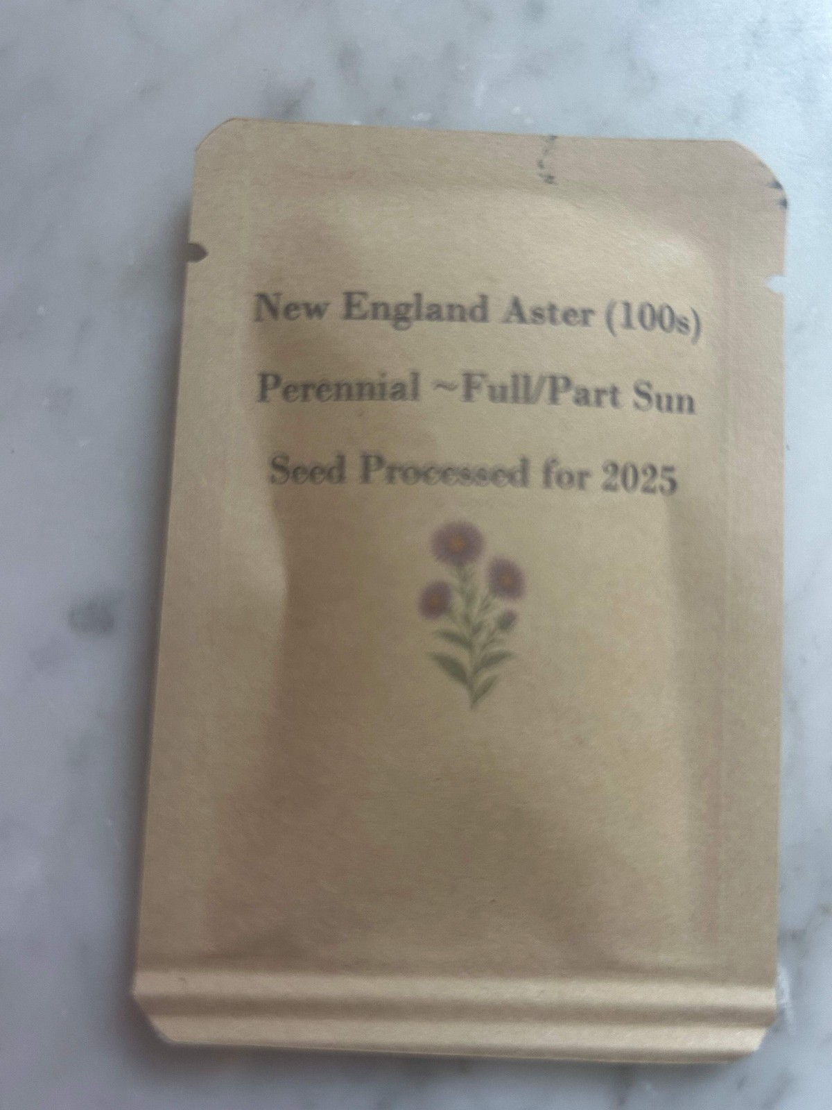 New England Aster Seeds – about 100 Seeds, Full-Part Sun, Perennial Flowers