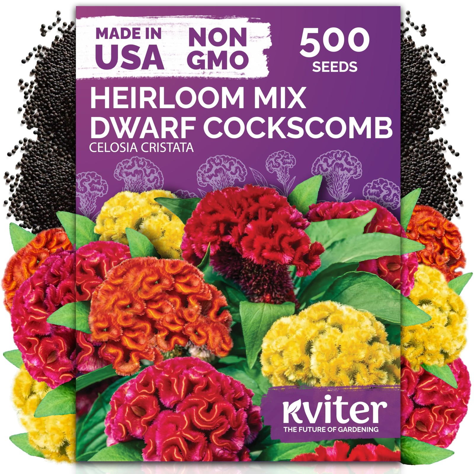 KVITER 500 Dwarf Mix Cockscomb Seeds for Planting (Celosia argentea)