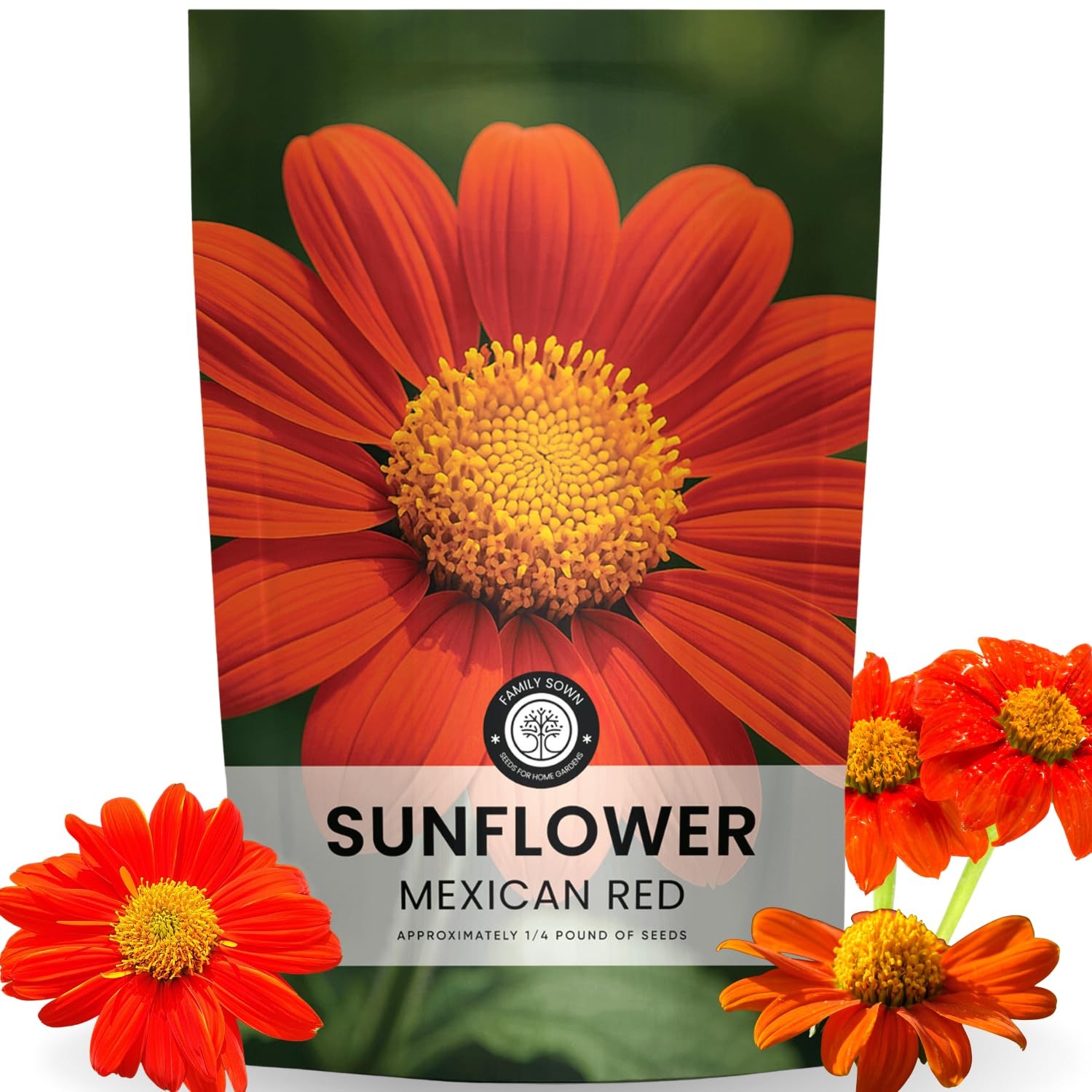 Mexican Sunflower Seeds – 9,000 Count for Planting – 4-Ounce Pack