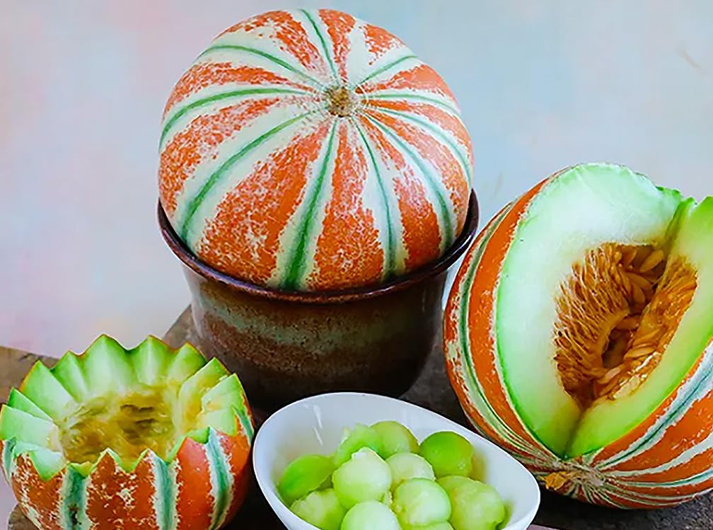 5 PCS Kajari Melon Seeds Sweet White Green Orange Fruit Planting Garden